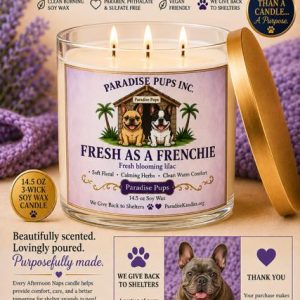Fresh as a Frenchie - Paradise Pup's Collection