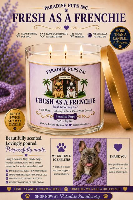 Fresh as a Frenchie - Paradise Pup's Collection