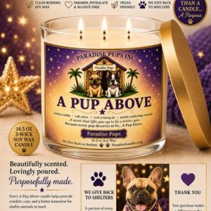 A Pup Above - Paradise Pup's Collection